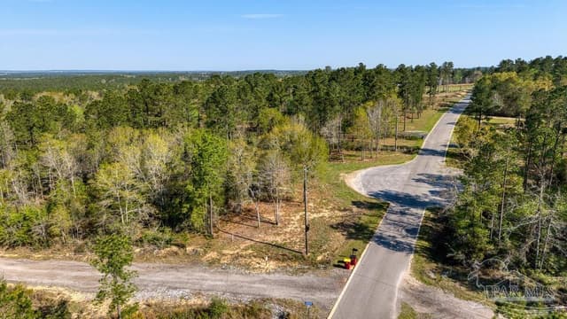 Lot 42 Buffalo Ridge Rd, Pace FL 32571 photo 14