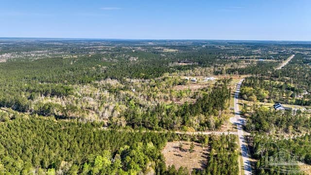 Lot 42 Buffalo Ridge Rd, Pace FL 32571 photo 11