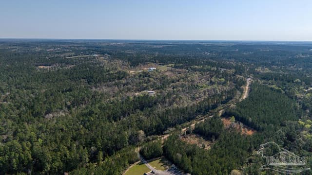 Lot 42 Buffalo Ridge Rd, Pace FL 32571 photo 21