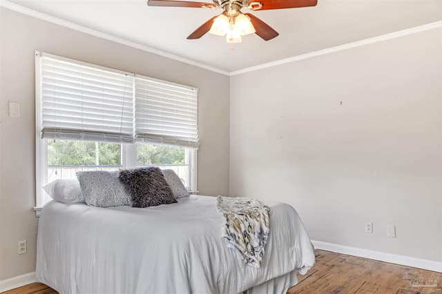115 W Jordan St, Pensacola FL 32501 photo 43