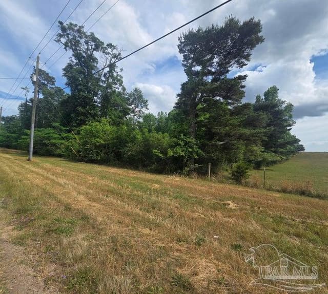 Parcel B 2000 Molino Rd, Molino FL 32577 photo 23