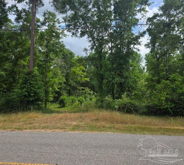 Parcel B 2000 Molino Rd, Molino FL 32577 photo 26