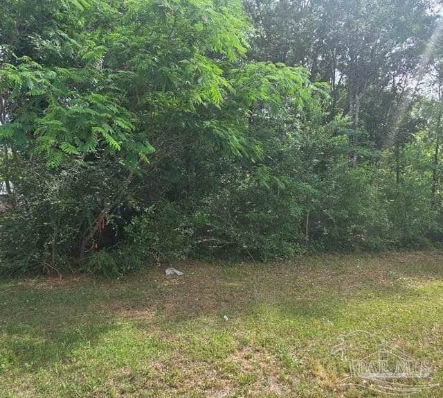 Parcel B 2000 Molino Rd, Molino FL 32577 photo 14