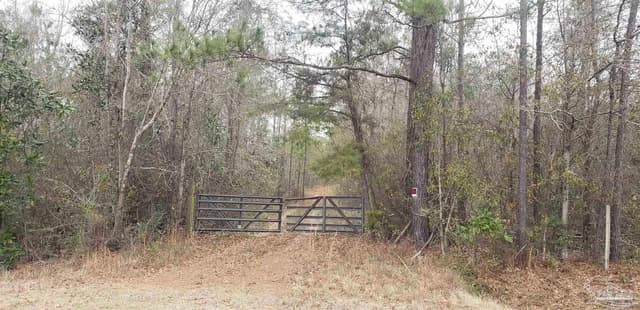 2200 Fannie Rd, Century FL 32535 photo 2