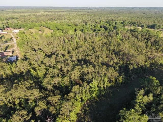 2200 Fannie Rd, Century FL 32535 photo 21