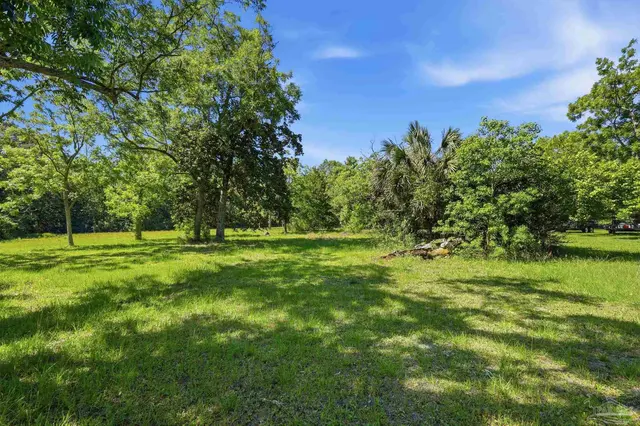9765 Loop Rd property photo