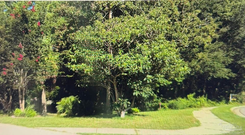 5969 Hermitage Dr, Pensacola FL 32504 photo 1