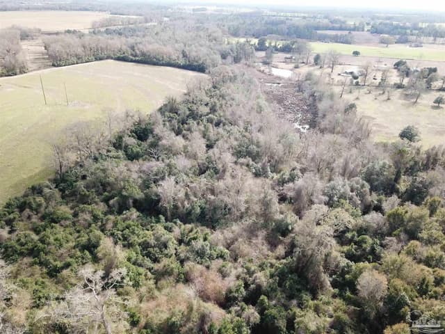 13 acres Hwy 4, Jay FL 32565 photo 2