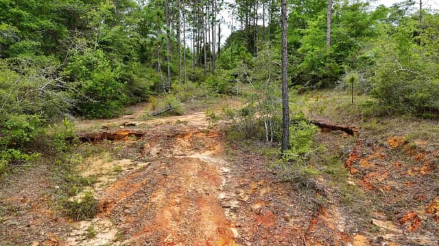 S Chipper Rd, Cantonment FL 32533 photo 9