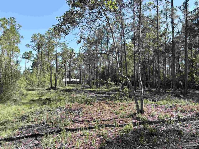 Del Monte St, Milton FL 32583 photo 11