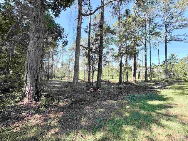 Del Monte St, Milton FL 32583 photo 4