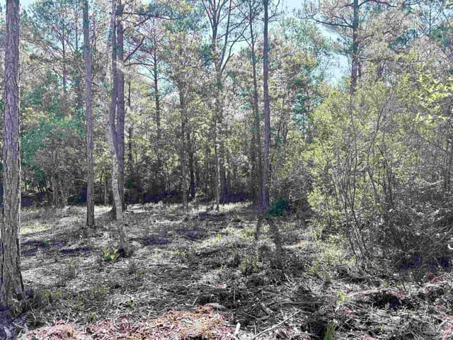 Del Monte St, Milton FL 32583 photo 13