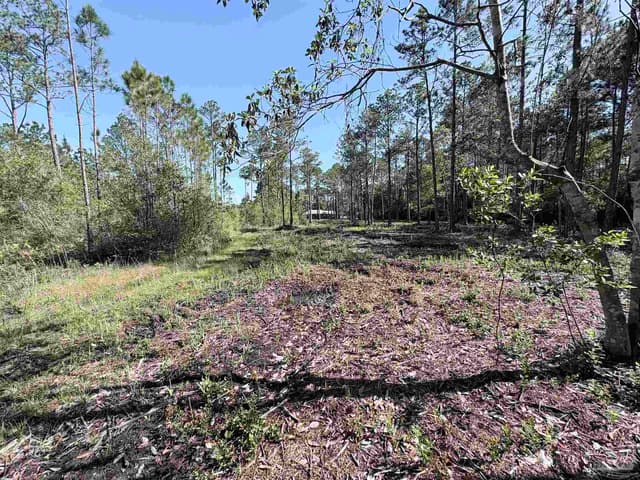 Del Monte St, Milton FL 32583 photo 14
