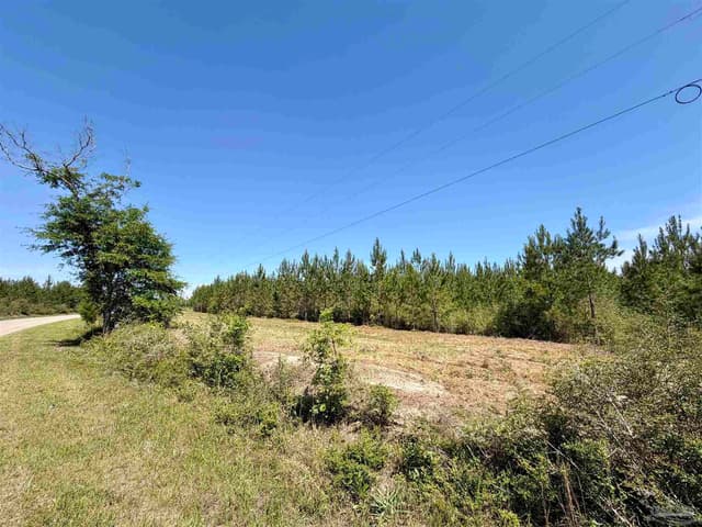 0000 Mineral Springs Rd, Jay FL 32565 photo 2
