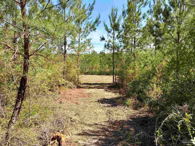 0000 Mineral Springs Rd, Jay FL 32565 photo 5