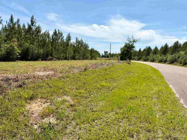 0000 Mineral Springs Rd, Jay FL 32565 photo 10