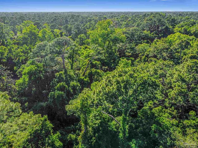 700 Wayne Ave, Pensacola FL 32507 photo 16
