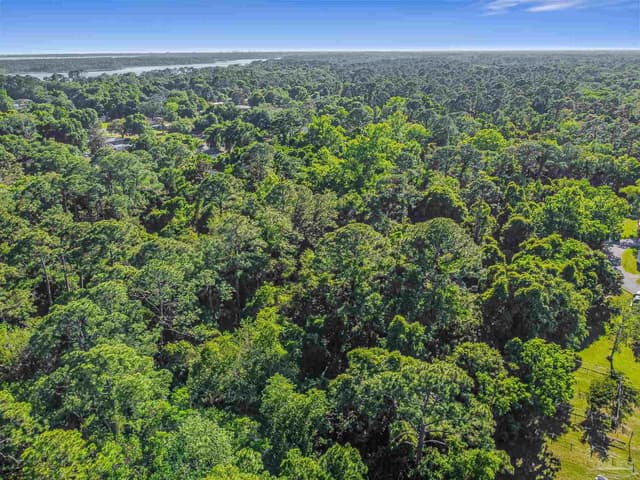 700 Wayne Ave, Pensacola FL 32507 photo 5