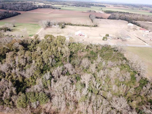 Lot 1 Hwy 4, Jay FL 32565 photo 5