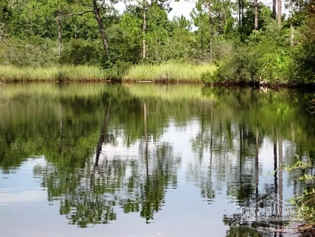 0 Ruth Ct, Milton FL 32583 photo 2