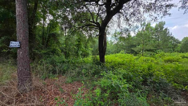 Lot 5N Aubrey Ln, Pace FL 32571 photo 17