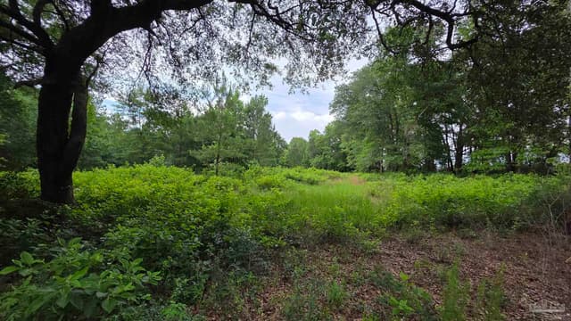 Lot 5N Aubrey Ln, Pace FL 32571 photo 12