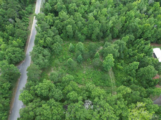Lot 5N Aubrey Ln, Pace FL 32571 photo 3