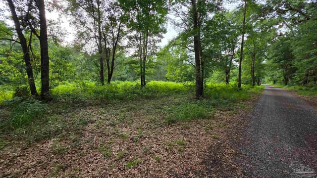 Lot 5N Aubrey Ln, Pace FL 32571 photo 9