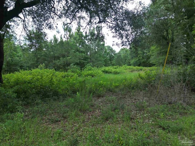 Lot 5N Aubrey Ln, Pace FL 32571 photo 14