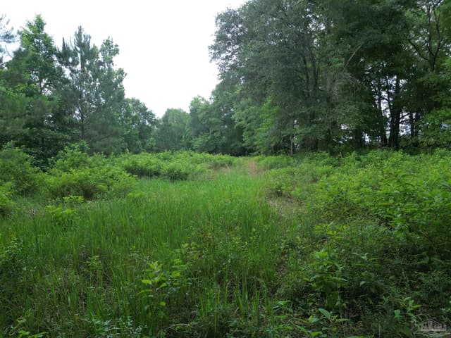 Lot 5N Aubrey Ln, Pace FL 32571 photo 15