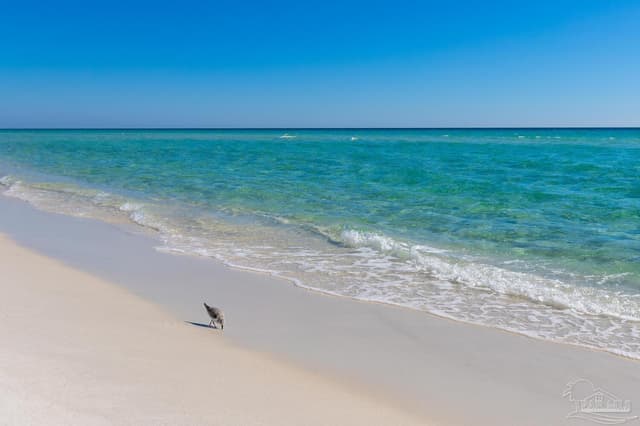 7889 Gulf Blvd, Navarre Beach FL 32566 photo 3