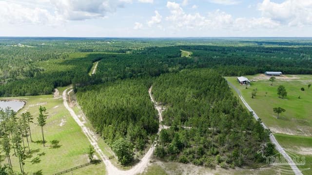 30 Acres Treetop Ridge Dr, Pace FL 32571 photo 2