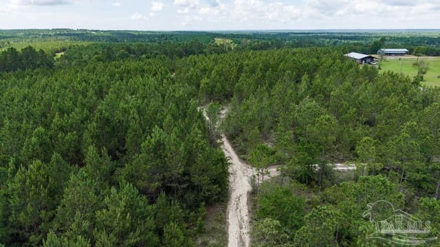 30 Acres Treetop Ridge Dr, Pace FL 32571 photo 13