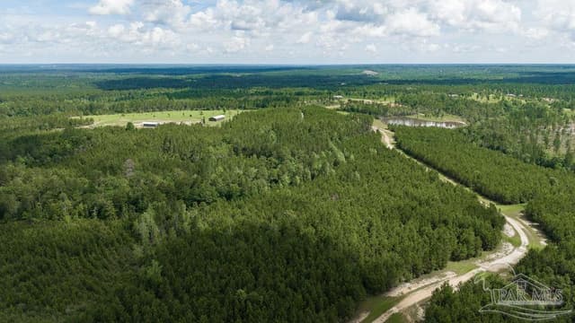 30 Acres Treetop Ridge Dr, Pace FL 32571 photo 7