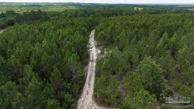 30 Acres Treetop Ridge Dr, Pace FL 32571 photo 3