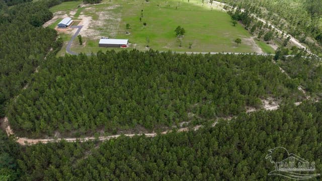 30 Acres Treetop Ridge Dr, Pace FL 32571 photo 5