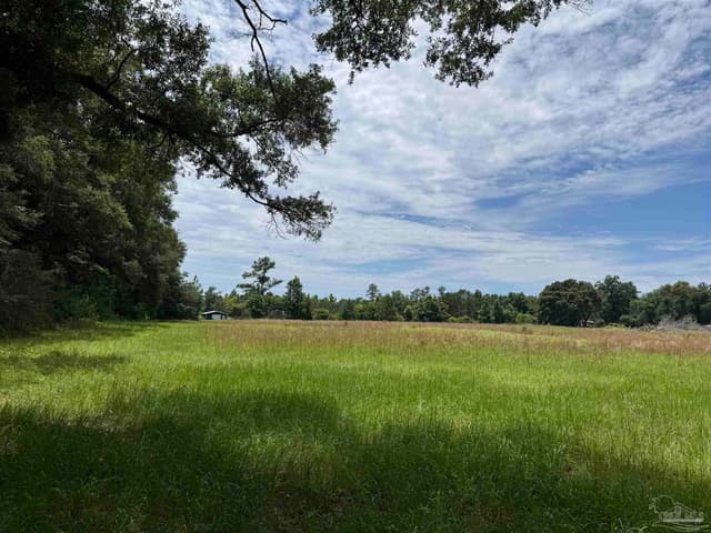 296 Salters Lake Rd, Century FL 32535 photo 13