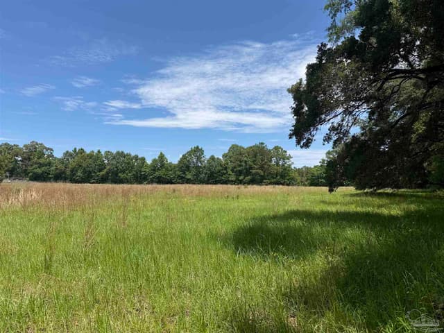 296 Salters Lake Rd, Century FL 32535 photo 12