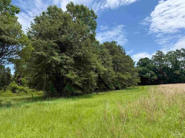 296 Salters Lake Rd, Century FL 32535 photo 14