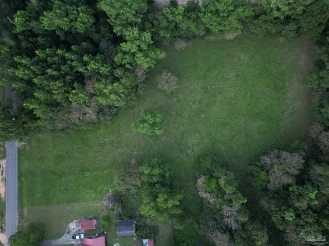 6701 Camp Henderson Rd, Jay FL 32565 photo 7