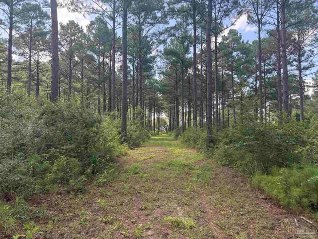 154 Perry Ln, Atmore AL 36502 photo 67