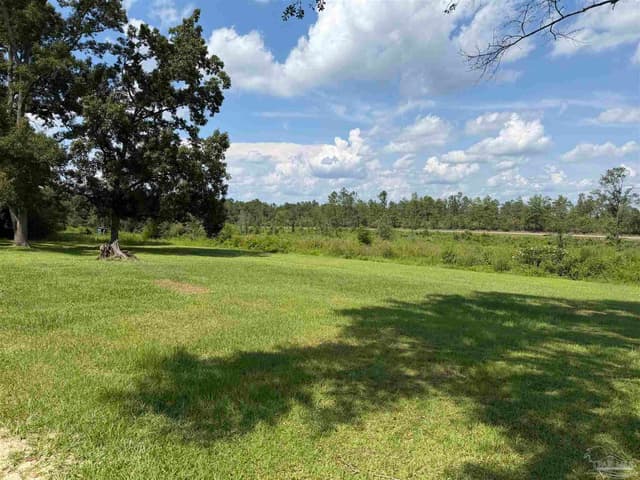 154 Perry Ln, Atmore AL 36502 photo 64