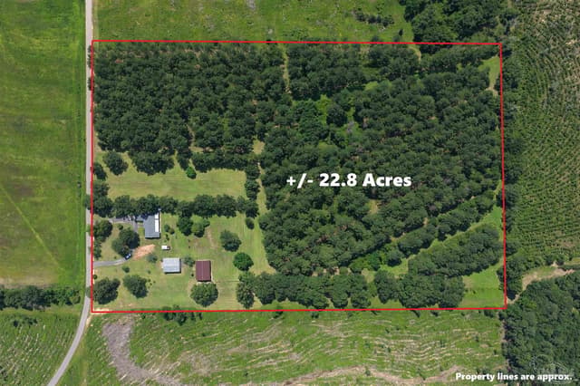 154 Perry Ln, Atmore AL 36502 photo 70