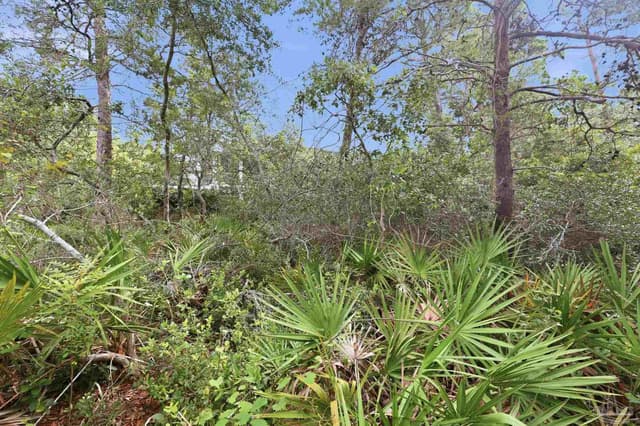 0 Dalton St Lot 37, Santa Rosa Beach FL 32459 photo 13