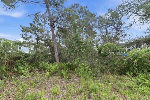 0 Dalton St Lot 37, Santa Rosa Beach FL 32459 photo 10