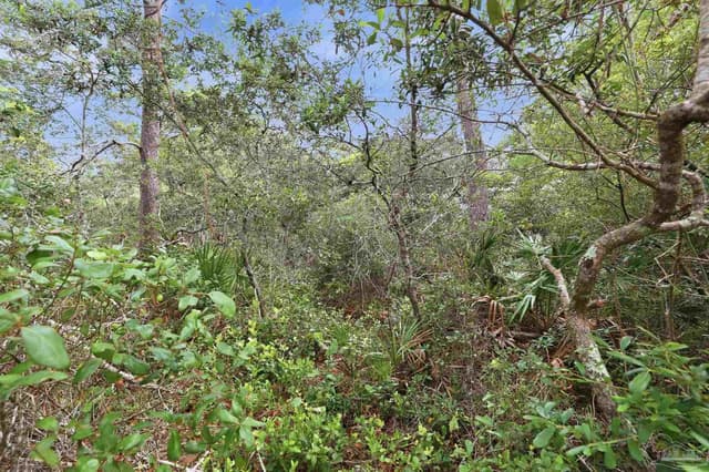 0 Dalton St Lot 37, Santa Rosa Beach FL 32459 photo 14