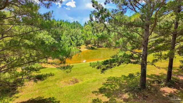 2647 Molino Rd property photo