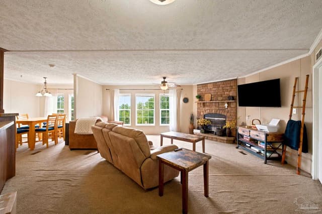 439 Woodpecker Ln, Holt FL 32564 photo 9