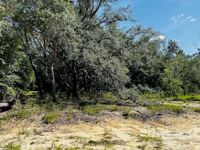 4195 Whippoorwill Dr, Holt FL 32564 photo 10
