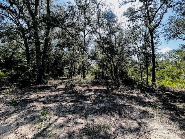 4195 Whippoorwill Dr, Holt FL 32564 photo 14